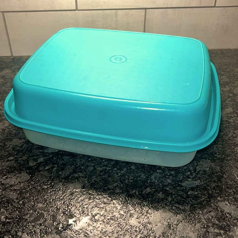 Vintage Tupperware marinator in like new condition.  Use for anything to…
